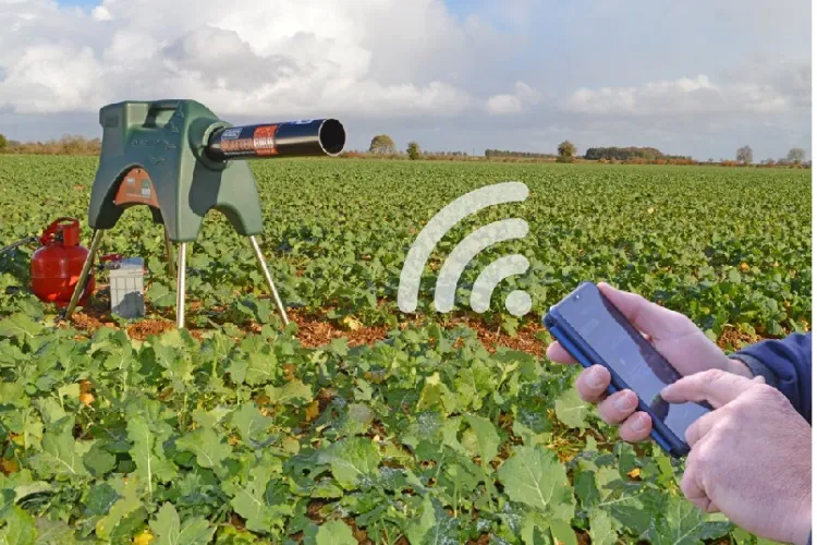 „Se pare că doar profitul mai contează”. Tunurile anti păsări i-au înebunit pe clujenii dintr-un cartier periferic