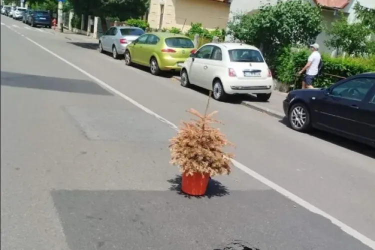 Atenție, CRATER în carosabil: Un brad semnalizează o uriașă groapă în cartierul de lux al Clujului, Andrei Mureșanu FOTO/VIDEO