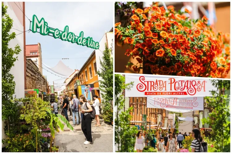 Cea mai inedită piață de flori vă așteaptă de astăzi, pe strada Potaissa din Cluj! Programul complet al activităților