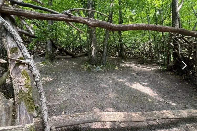 Comunitatea păgână din Cluj revendică și templul din Făget: În absența unor locuri special destinate, amenajăm mici sanctuare/Nu încălcăm vreo lege