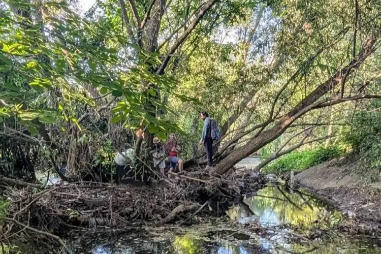 „În loc de mașini parcate întrevedem promenade”. Clujenii au planurile lor pentru Canalul Morii, mai puține betoane și mai multă verdeață