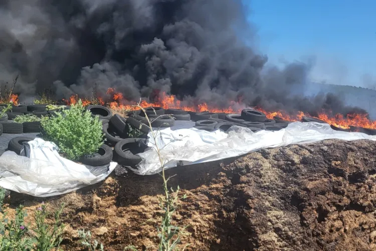 Incendiu în Apahida! Flăcările au cuprins mai multe cauciucuri dintr-o gospodărie - FOTO 