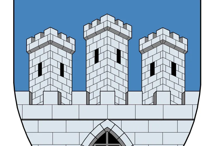 Liberalii acuza Primaria Cluj ca foloseste ilegal stema orasului