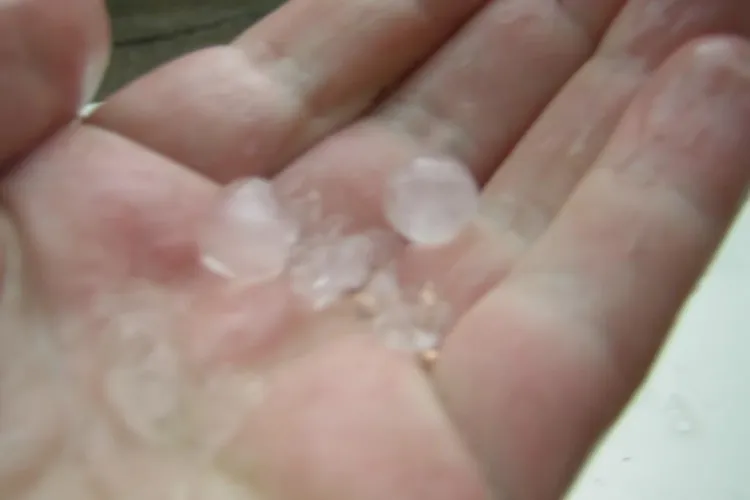 Ploi puternice si grindina la Cluj - FOTO - STIREA CITITORULUI