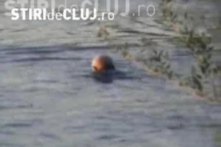 Imagini incredibile pe Somes! Un batran beat a vrut sa se racoreasca in rau si a scapat ca prin minune de la inec! VIDEO
