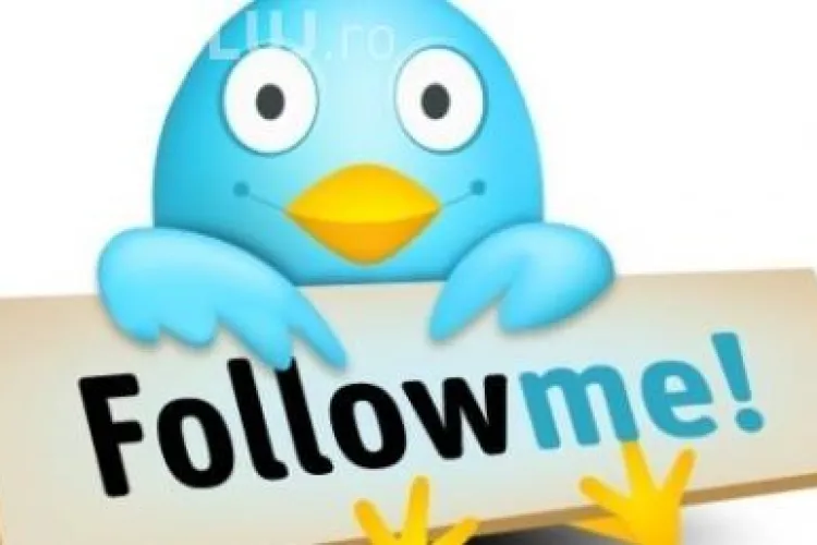 Twitter va avea un buton de Like