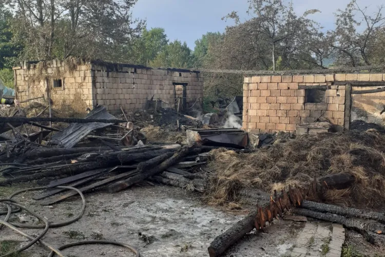 Incendiu la un adăpost de animale din Cluj. Pompierii au intervenit cu dificultate - FOTO