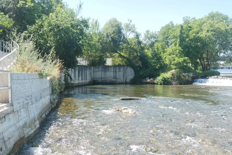 Clujean - turist în propriul oraș: „E loc de înot, nu doar de baie, la gradenele din Parcul Rozelor”/„Apa rece alungă oboseala și canicula” - FOTO