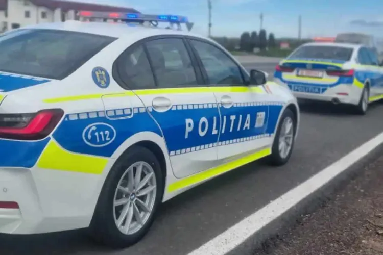 Un tânăr de 21 de ani a furat 5600 de kg de afine, în valoare totală de 32.000 de euro, de la firma la care lucra