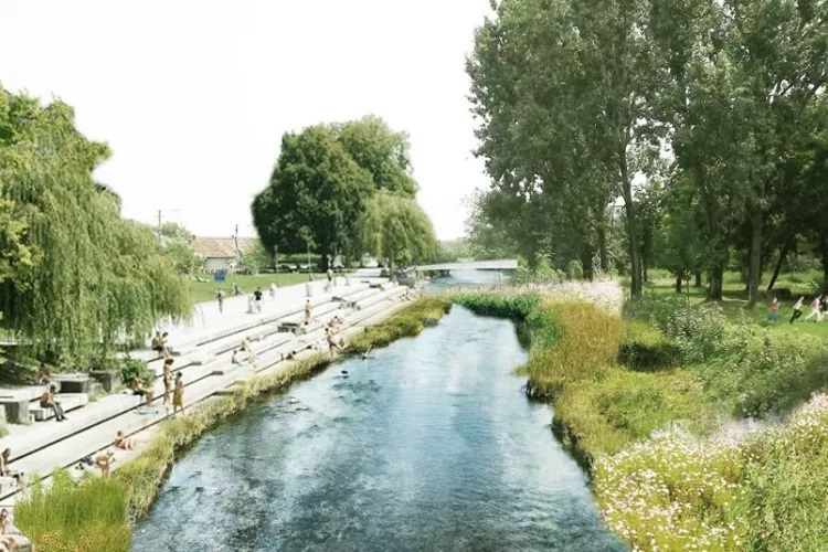 Malurile Someșului, împânzite de buruieni și deșeuri: „Pune mâna pe coasă!”/ „Iarba e mai înaltă decât un om și colcăie de șobolani”