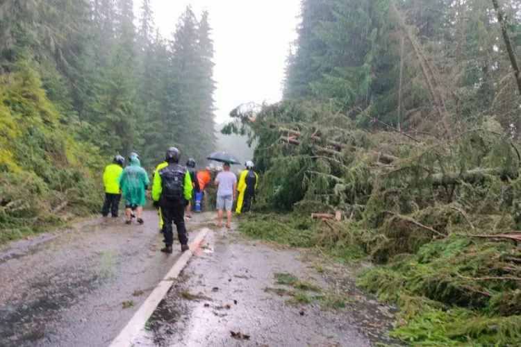 Ardealul, lovit de vijelii! Aproximativ 50 de autovehicule, blocate din cauza unei furtuni în zona Lacului Oașa
