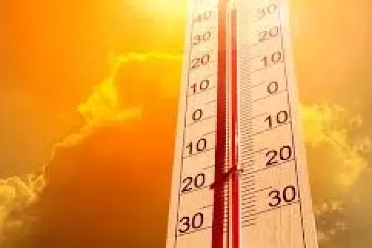 Prognoza meteo la Cluj . Vezi cum va fi vremea săptămâna viitoare