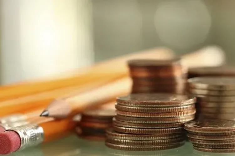 BURSE ELEVI 2024-2025 Ce tipuri de burse vor primi elevii în anul școlar viitor și care sunt sumele. Apare un nou tip de bursă