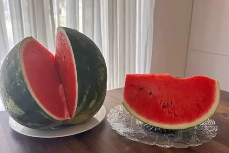 Gestul unui vânzător de pepeni din Cluj l-a impresionat pe un antreprenor din Capitală: „N-am mai pățit/Omul era ce trebuie”