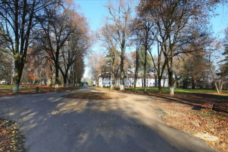 Un clujean a fost omorât azi-noapte într-un parc din Turda. A fost lovit cu ceva în cap/ Polițiștii au reținut un suspect pentru 24 de ore 