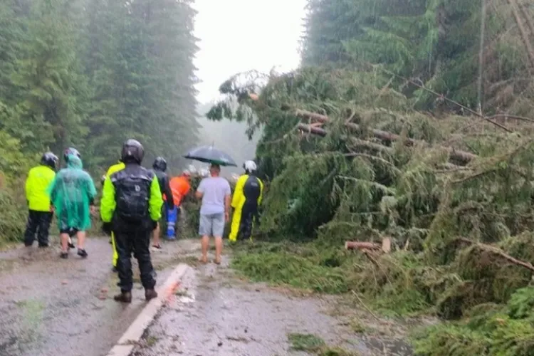 Zeci de mașini blocate pe un drum cunoscut din Ardeal. A fost furtună cu grindină și copaci căzuți pe carosabil - FOTO