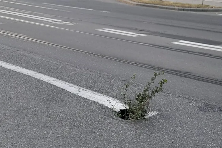 Cluj: S-a surpat asfaltul pe Bulevardul Muncii. A fost semnalizat cu ,,indicatoare de circulație BIO” - FOTO