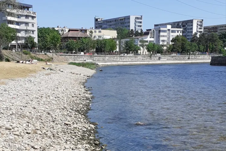 Ce spune poliția despre cazul cadavrului de câine aruncat în Someș prezentat de Știri de Cluj