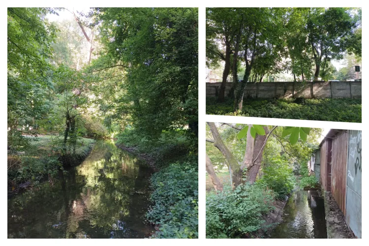 Imagini dezolante cu Canalul Morii în zona Plopilor. Clujenii cer punți în loc de garduri și alei în loc de parcări: „Merită pus în valoare”