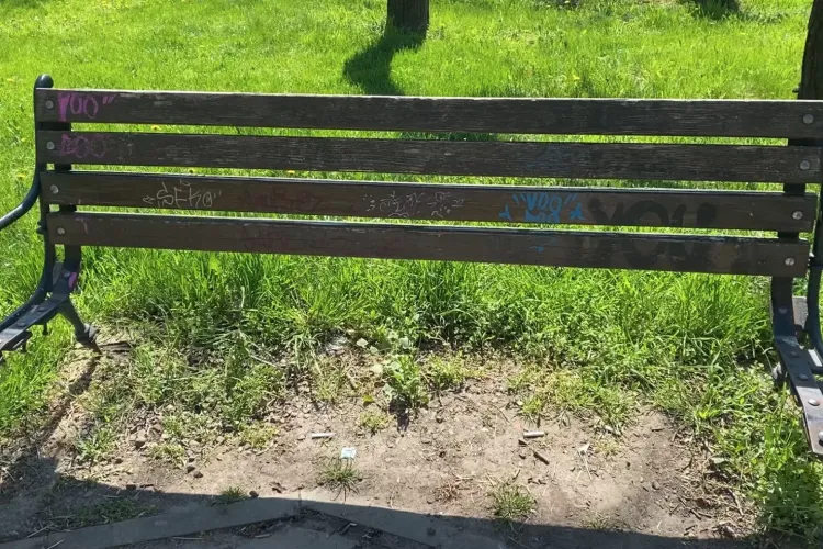 Un parc din cartierul Mănăștur a fost vandalizat: „Este mizerabil. Oamenii nu au frică și distrug tot”