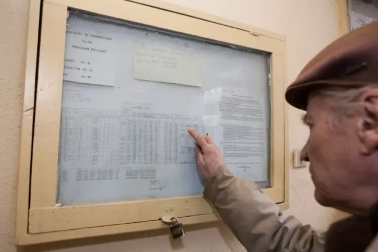 Dezamăgiți de asociațiile de proprietari, clujenii vor ca Primăria Cluj-Napoca să le îngrijească spațiile de lângă blocuri: „Ne intră insectele în casă”