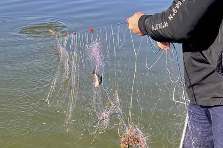  Braconaj piscicol pe râul Someșul Cald! Șase tineri au fost prinși de polițiștii clujeni în timp ce pescuiau ilegal