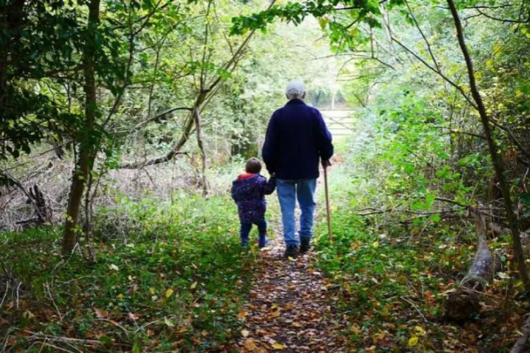 Rănit din dragoste, un clujean a încercat să se răzbune pe socrul său. L-a acuzat că și-a agresat nepoata și l-a dat pe mâna judecătorilor