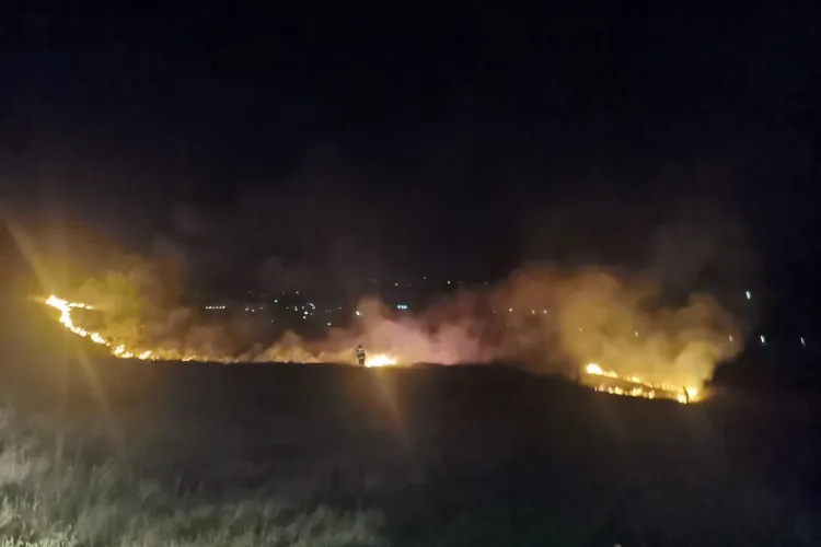 Cluj: Incendiu de proporții în Baciu! Au dat foc la vegetație și anvelope uzate - FOTO