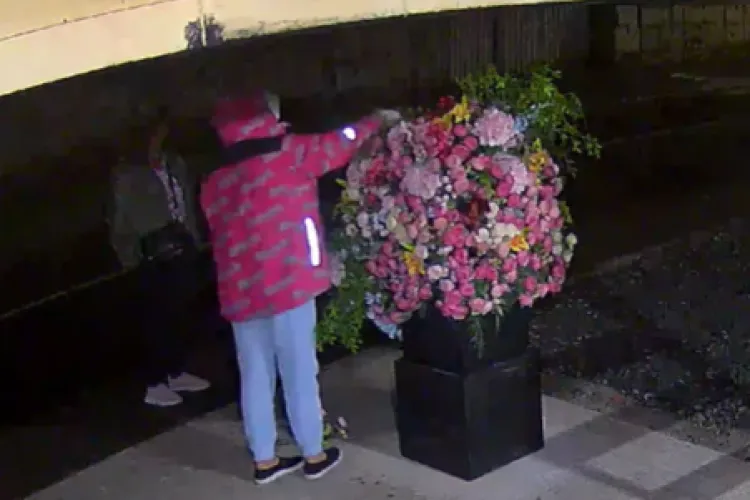 Hoață din Cluj, filmată în acțiune! A dat o atacul la o florărie din Florești: „Doamna se servește fără nicio jenă cu un braț întreg de flori”