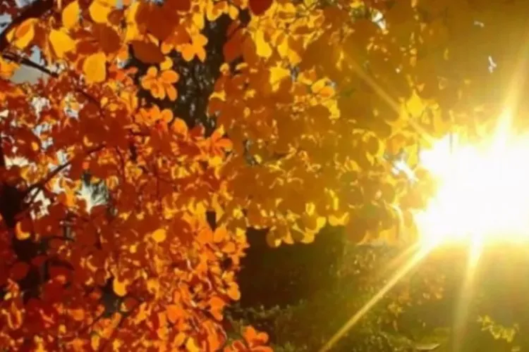 Toamna e ca vara! Se anunță temperaturi de peste 26 de grade Celsius 