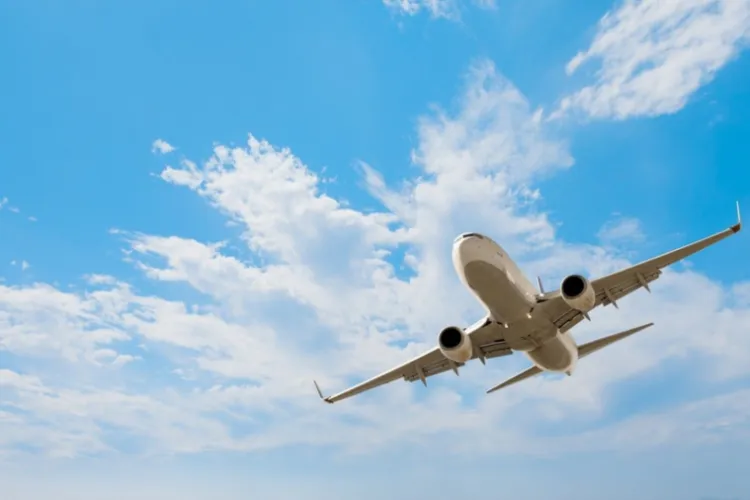 Un șoarece a provocat haos la bordul unui avion. A aterizat de urgență 