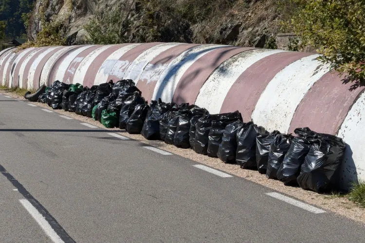 Aproape 5.000 de voluntari au marcat Ziua de Curățenie Națională la Cluj. Câți saci de deșeuri au fost colectați 