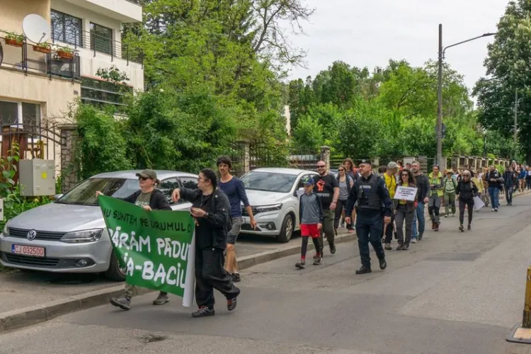 35 de profesori universitari îi cer lui Boc să intervină de urgență: „Interziceți traficul auto prin pădurea Hoia. Vom pierde ultimele hectare de pădure”