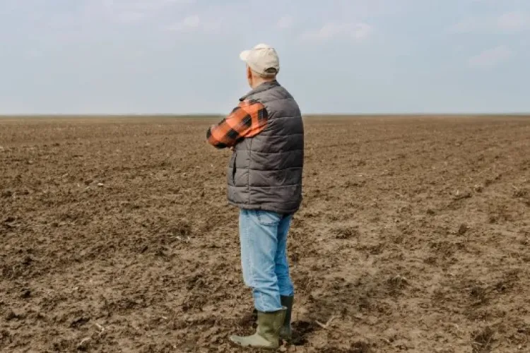 Fermierii afectați de secetă vor primi compensanții financiare și li se vor suspenda creditele