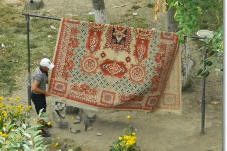 Tânăr din Cluj-Napoca, condamnat la aproape doi ani de închisoare, după ce a furat un covor lăsat la uscat pe un gard