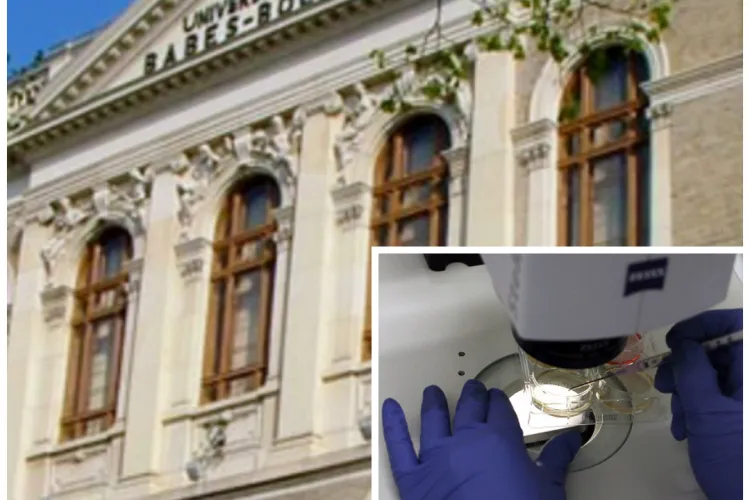 Descoperire uimitoare făcută de cercetătorii UBB Cluj! Ce au găsit în Munții Bistriței i-a uimit