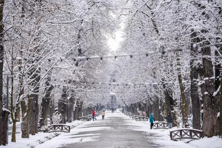 Vremea se schimbă brusc în toată țara! Iarna își intră în drepturi la Cluj 