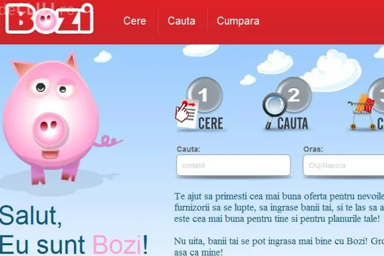 Primul portal destinat Regiunii de NV care va ajuta sa primiti cea mai buna oferta pentru prestari de servicii, de la contabil la instalator