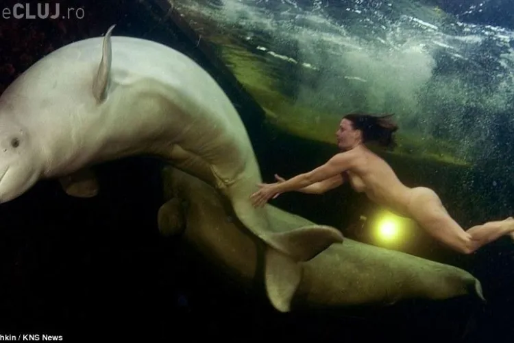Stapana balenelor. O rusoaica inoata in pielea goala alaturi de mamifere, in apa inghetata VEZI FOTO