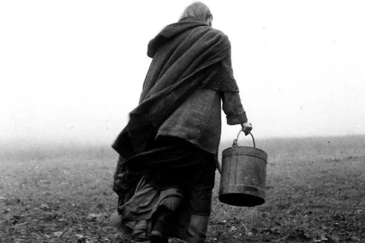 TIFF 2011: Ziua Maghiara e miercuri, 8 iunie - VEZI programul