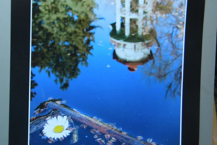 Fotografii superbe despre Gradina Botanica premiate de Femeile de Afaceri din Cluj VIDEO si FOTO