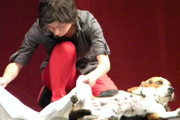 Cainele Bailey a facut senzatie la "Studentii au talent" - VIDEO