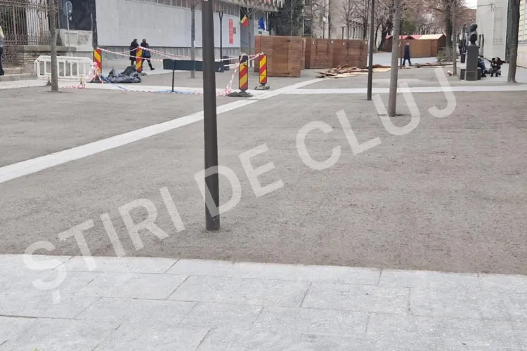 Situație hilară pe o stradă din centrul Clujului! Muncitorii au turnat pietriș tasat în jurul copacilor: ,,Așa avem în proiect. Nu este beton” - FOTO