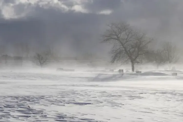 Avertizare COD GALBEN de vânt puternic în zona de munte a Clujului! Rafalele vor depăși 120 km/h 