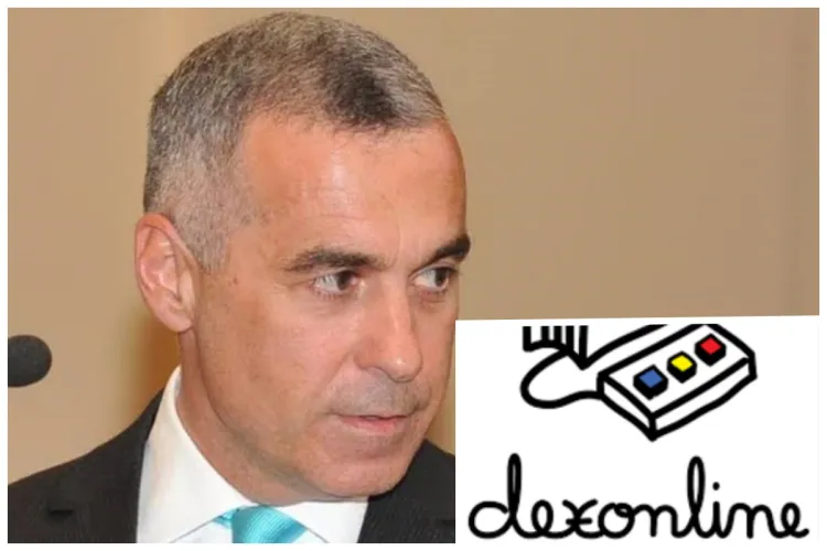 ,,Ne-a bântuit candidatul-fantomă” - Care a fost cel mai căutat cuvânt pe DEX online după ce Călin Georgescu a câștigat primul tur al alegerilor 