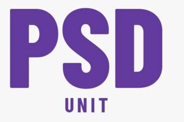 Confuzie la alegerile parlamentare. PSD a pierdut din voturi din cauza unui partid cu o siglă aproape identică