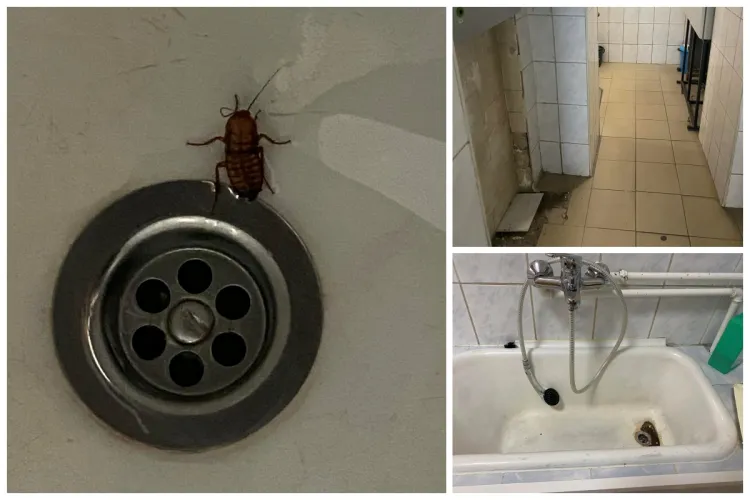 Copiii împart camera cu gândacii la un spital din Cluj! Experiența DUREROASĂ a unei mămici internată cu bebelușul: ,,Ceva de nedescris” - FOTO 