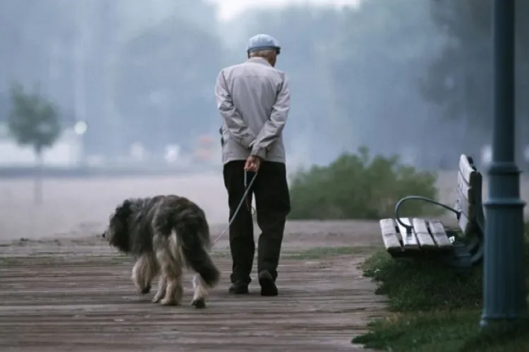 Bătrânii din Cluj sunt acuzați că nu curăță mizeria lăsată de câinii lor: ,,Cei în vârstă sunt foarte nesimțiți și nu le pasă de nimic”