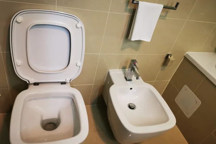 Clujean exasperat de lipsa unui obiect esențial în tot mai multe hoteluri: „Ori îmi dați o perie de WC, ori mă mut la alt hotel”! FOTO