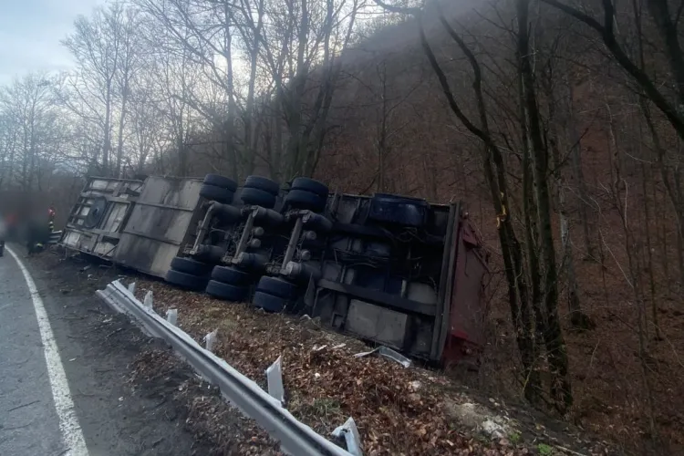 Remorca unui TIR care transporta porci vii s-a răsturnat într-o comună din Cluj. Autoritățile au intervenit de urgență